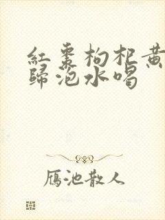 红枣枸杞黄芪当归泡水喝封面
