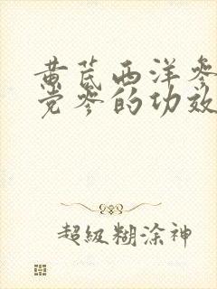 黄芪西洋参麦冬党参的功效