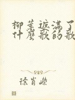 柳叶遮满了天是什么歌的歌词