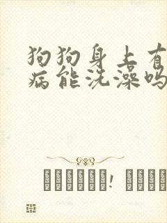 狗狗身上有皮肤病能洗澡吗封面