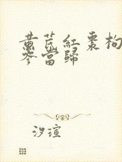 黄芪红枣枸杞党参当归封面