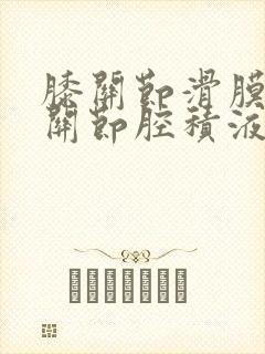 膝关节滑膜囊及关节腔积液