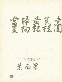 当归黄芪党参红枣枸杞桂圆