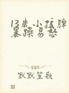 13岁小孩脾气暴躁易怒封面