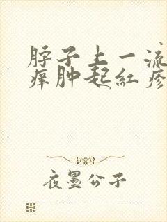 脖子上一流汗就痒肿起红疹封面