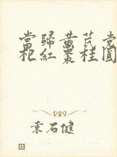 当归黄芪党参枸杞红枣桂圆