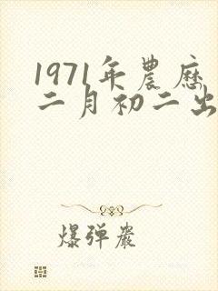 1971年农历二月初二出生的人什么命封面
