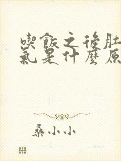 吃饭之后肚子胀气是什么原因封面