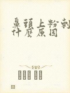 鼻头上粉刺多是什么原因