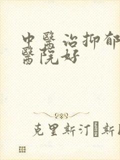 中医治抑郁哪个医院好