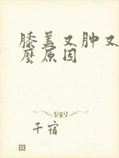 膝盖又肿又痛什么原因