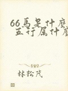 66马是什么命 五行属什么