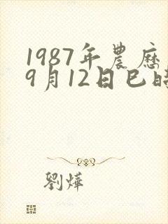 1987年农历9月12日巳时出生男命