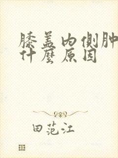 膝盖内侧肿痛是什么原因