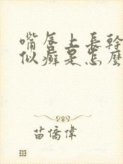 嘴唇上长干皮类似癣是怎么回事?