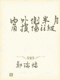 内外侧半月板后角损伤ii级