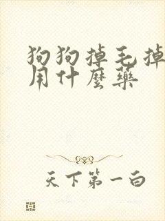 狗狗掉毛掉皮屑用什么药