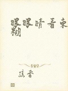 眼眼睛看东西模糊