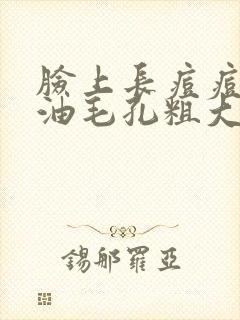 脸上长痘痘爱出油毛孔粗大怎么办