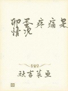 卵蛋疼痛是什么情况