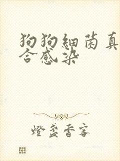 狗狗细菌真菌混合感染