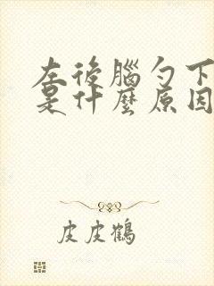 左后脑勺下边疼是什么原因封面
