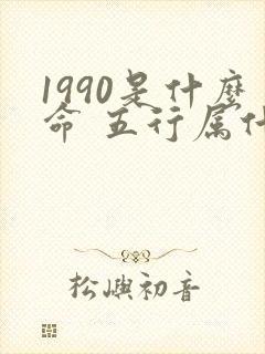 1990是什么命 五行属什么