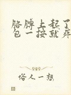 胳膊上起了个硬包一按就疼