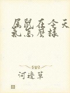 属鼠在今天的运气怎么样封面