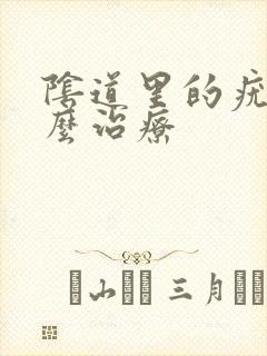 阴道里的疣湿怎么治疗