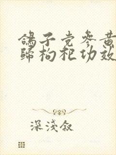 鸽子党参黄芪当归枸杞功效