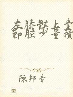 左膝髌上囊及关节腔少量积液是怎么回事封面