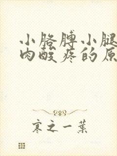 小胳膊小腿的肌肉酸疼的原因