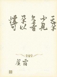 怀孕多少天b超可以看见孕囊封面