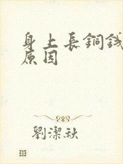 身上长铜钱癣的原因