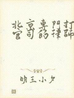 北京专门打婚姻官司的律师