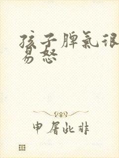 孩子脾气很暴躁易怒封面