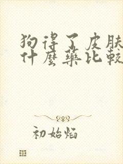 狗得了皮肤病用什么药比较好封面