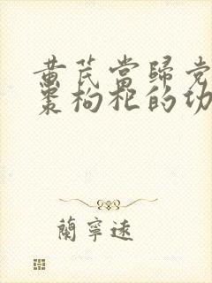 黄芪当归党参红枣枸杞的功效及作用