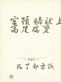 宫颈 鳞状上皮高度病变