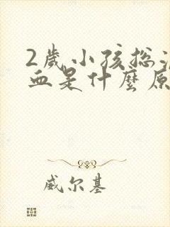 2岁小孩总流鼻血是什么原因
