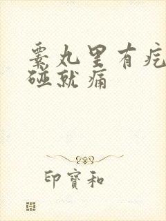 睾丸里有疙瘩一碰就痛