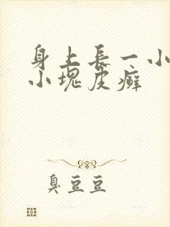 身上长一小块一小块皮癣