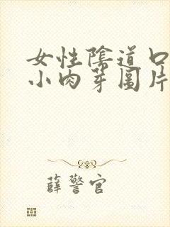 女性阴道口长出小肉芽图片