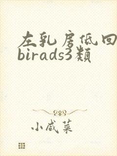 左乳房低回声节birads3类封面