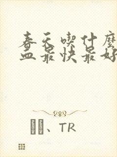 春天吃什么补气血最快最好