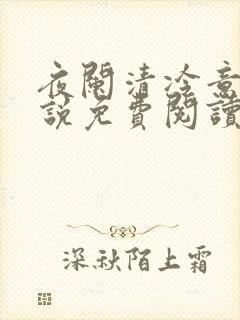 夜阑清冷意欢小说免费阅读