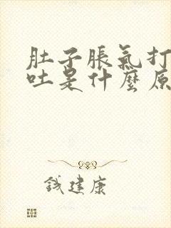 肚子胀气打嗝想吐是什么原因封面