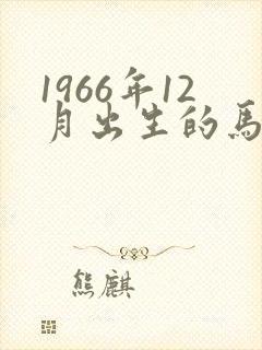1966年12月出生的马命运