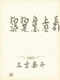 狗狗身上真菌感染是怎么引起的